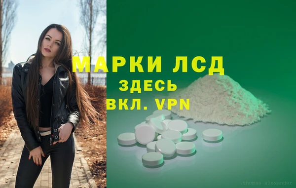 прущие крисы Беломорск