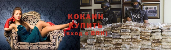прущие крисы Беломорск