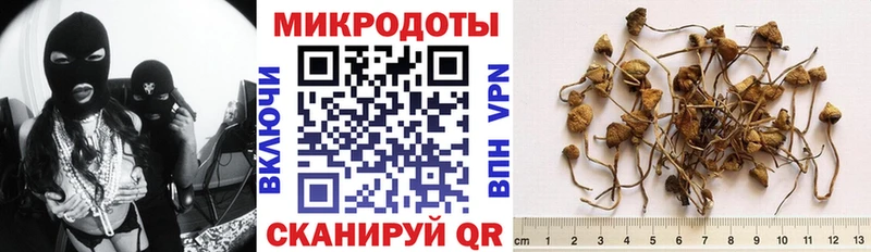 где купить наркотик  MEGA маркетплейс  Галлюциногенные грибы GOLDEN TEACHER  Соль-Илецк 