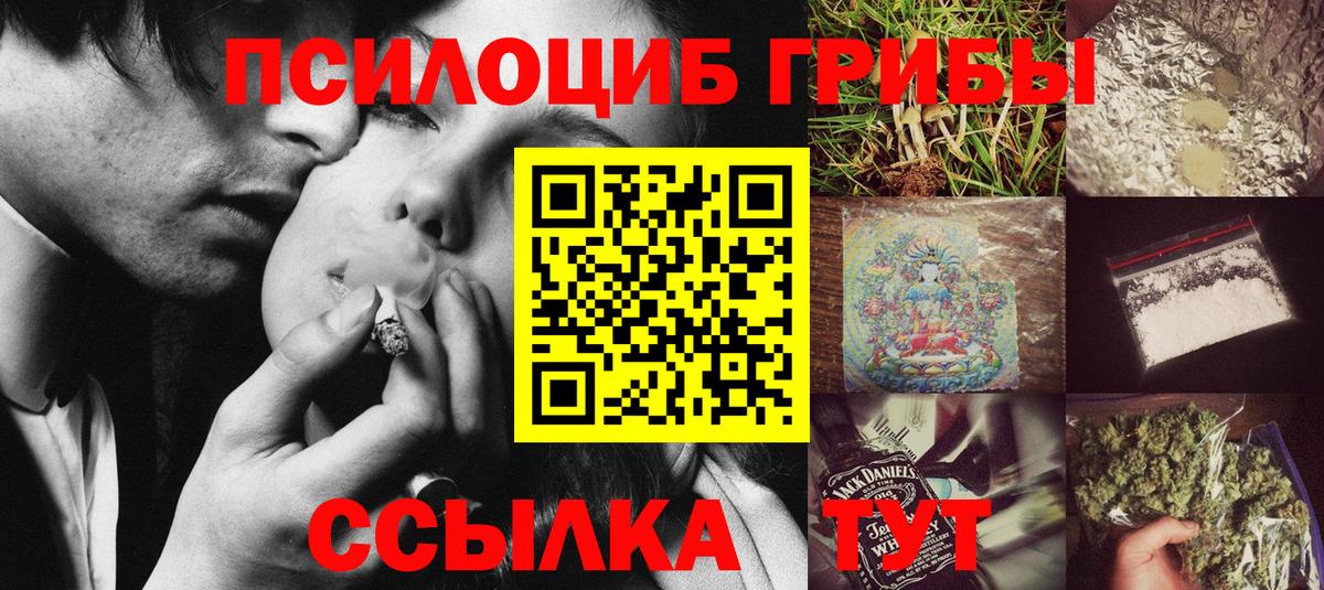 Соль-Илецк  Псилоцибиновые грибы Magic Shrooms  Вход с VPN 