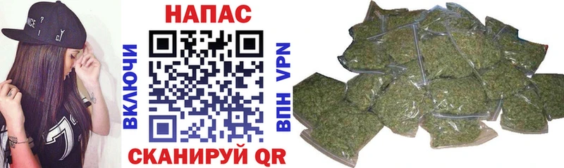 ссылка на мегу маркетплейс  Соль-Илецк  Бошки марихуана план  купить закладку 